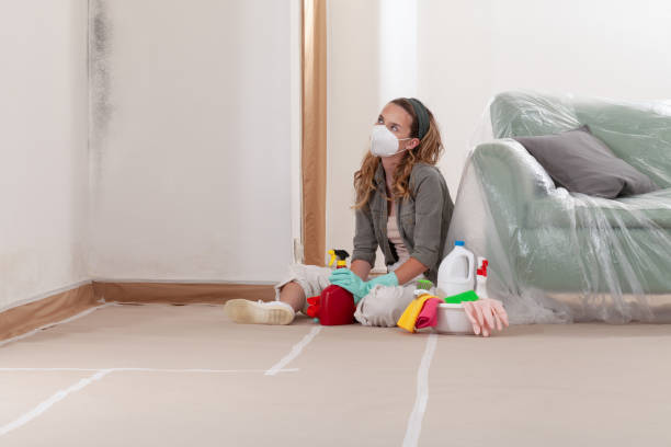 Reliable Mold Cleanup contractor in Triangle, VA by Cheap Mold Removal